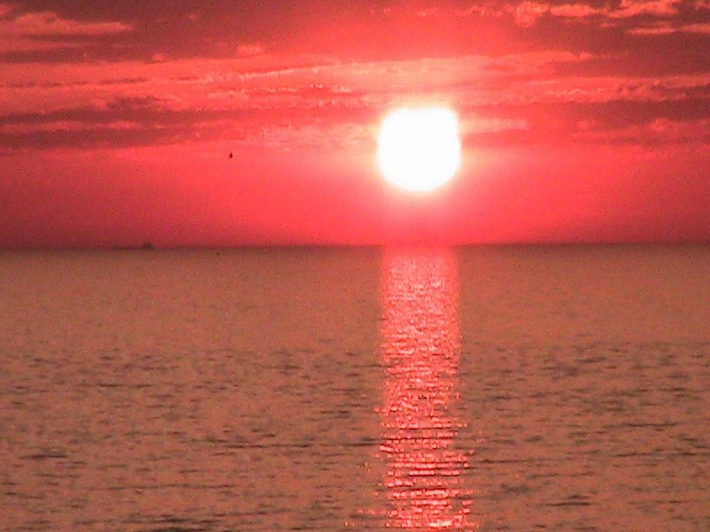 Beachroom Zandvoort Dış mekan fotoğraf